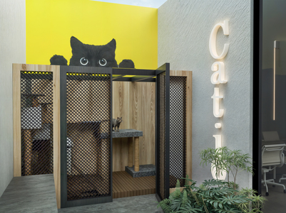 CATIO.jpg
